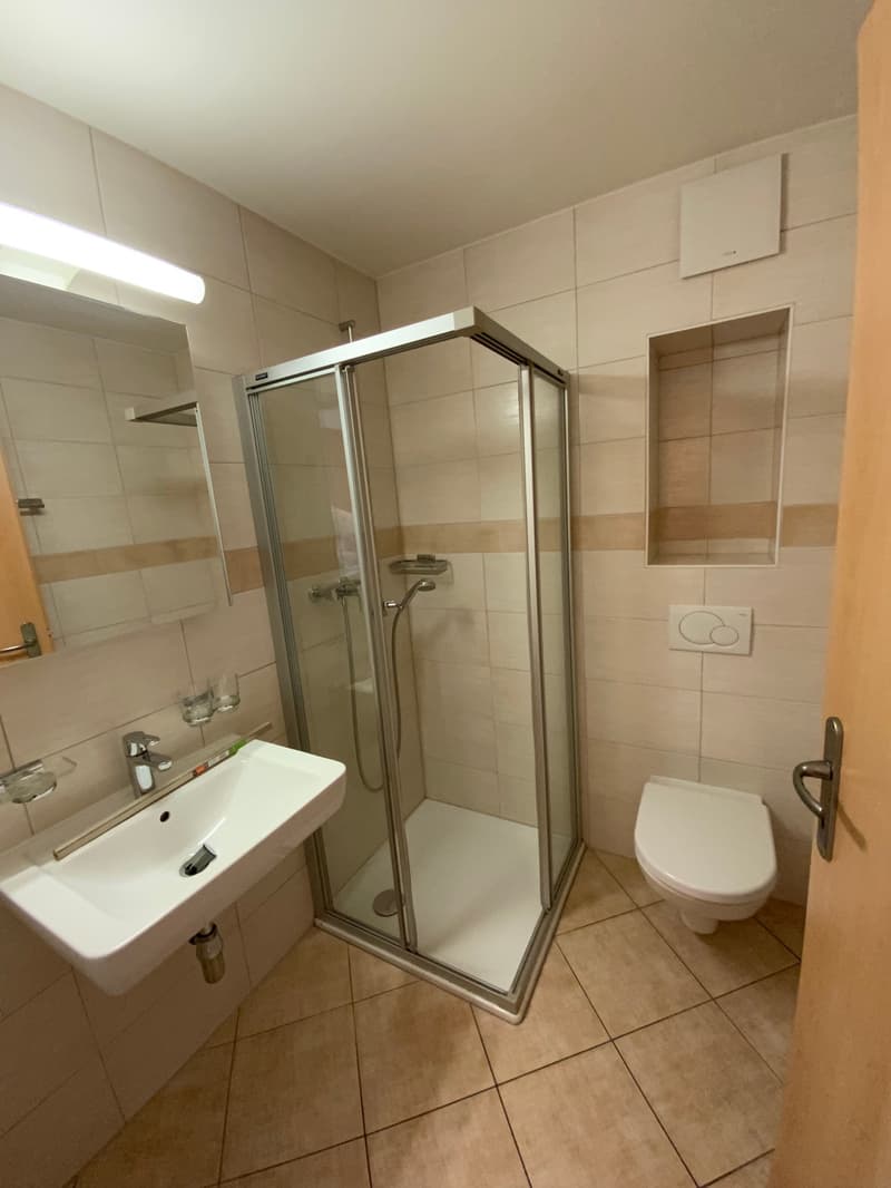 À louer spacieux et bel appartement de 2,5 pièces (3)