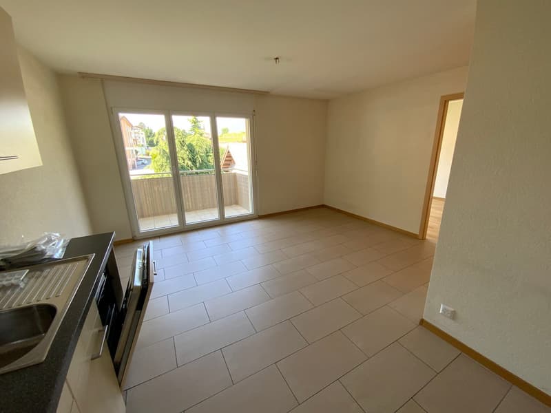 À louer spacieux et bel appartement de 2,5 pièces (5)