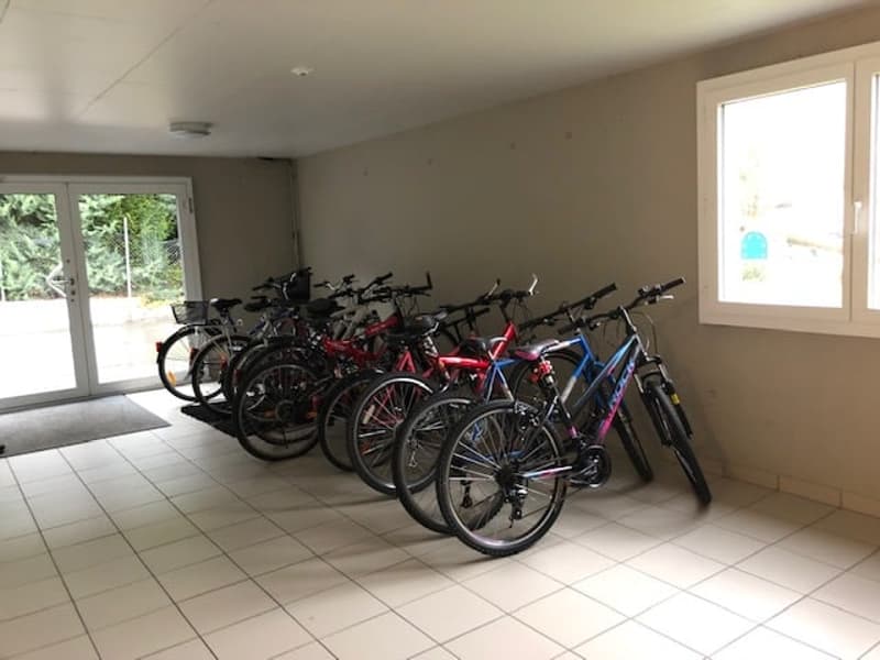 À louer spacieux et bel appartement de 2,5 pièces (9)