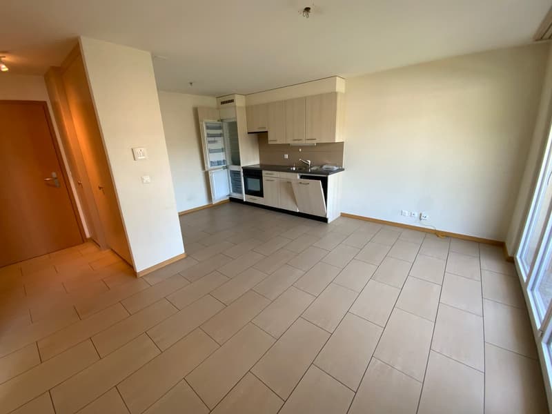 À louer spacieux et bel appartement de 2,5 pièces (4)