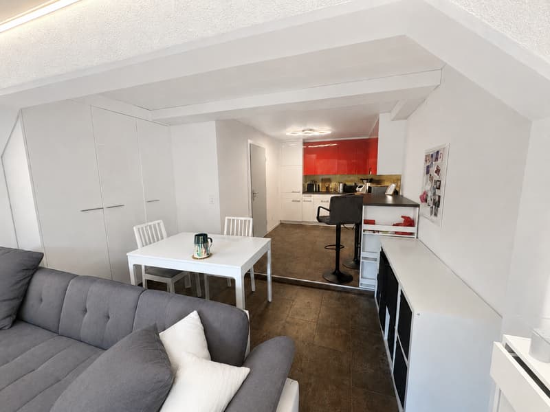 Moderne 2-Zimmer-Wonung mit eigener Terrasse in Ennetbaden (2)
