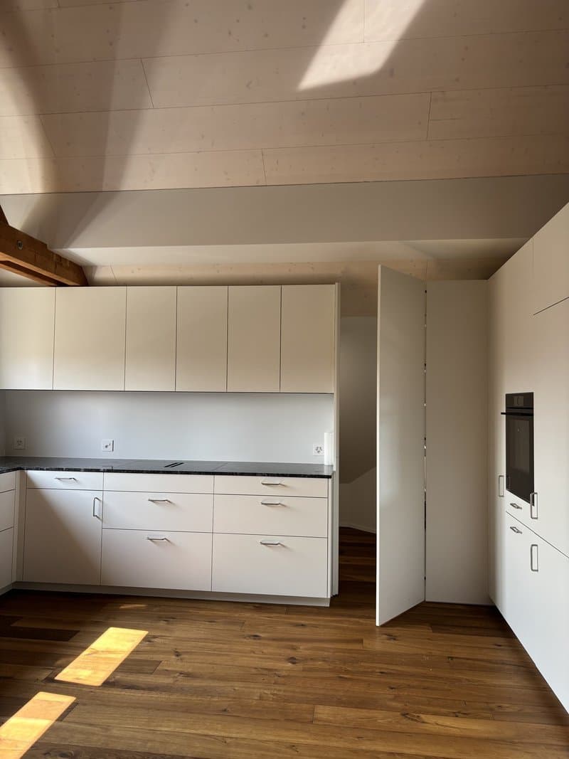 Grosszügige 4.5-Zimmer-Attikawohnung (180m²) 2 Balkonen & Panoramasicht (4)