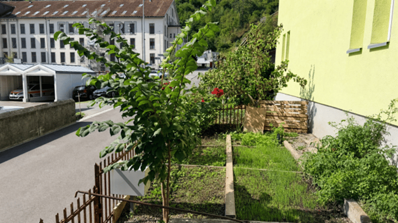 ZWEI 4.5-ZIMMER-HAUSHÄLFTEN – WOHNEN & VERMIETEN IN FLUMS (4)