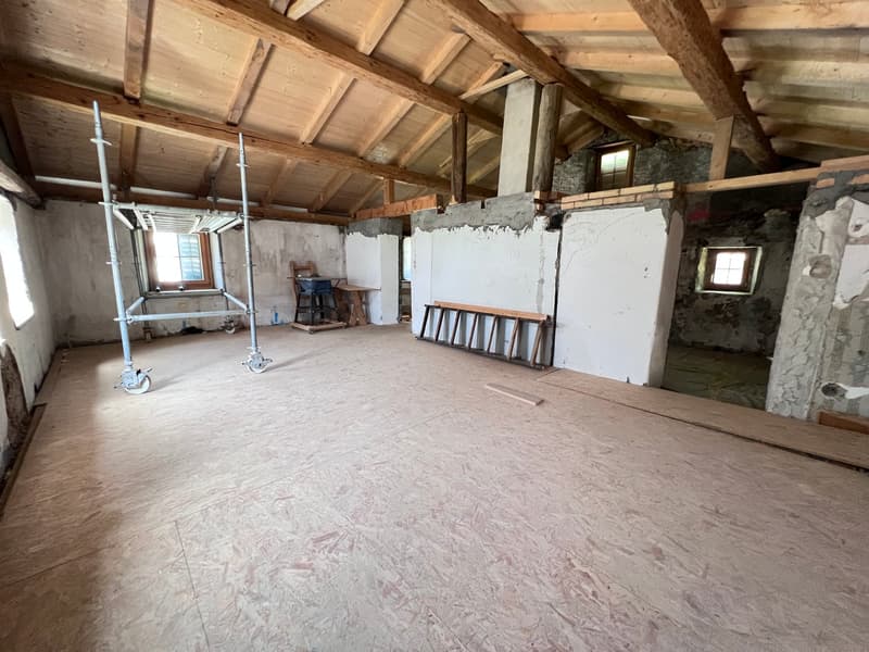 Charakterhaus mit viel Gestaltungspotenzial (10)