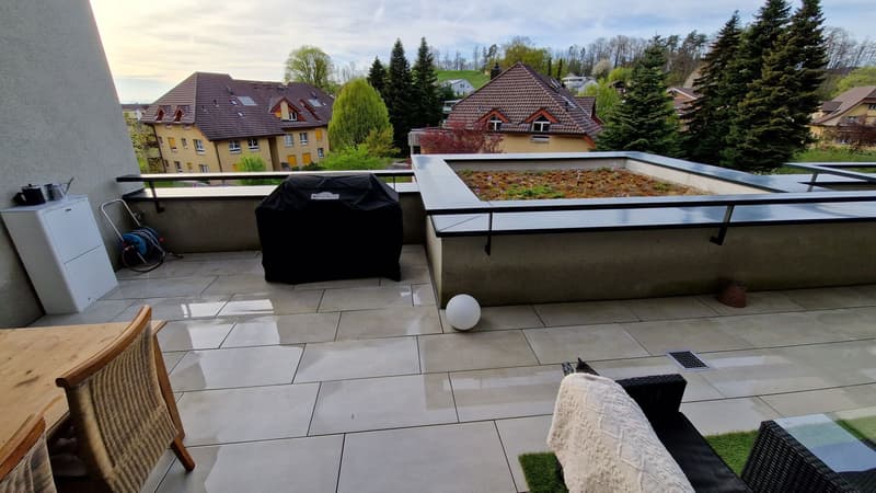 Luxuriöse Terrassenwohnung mit 50m2 Terrasse (10)
