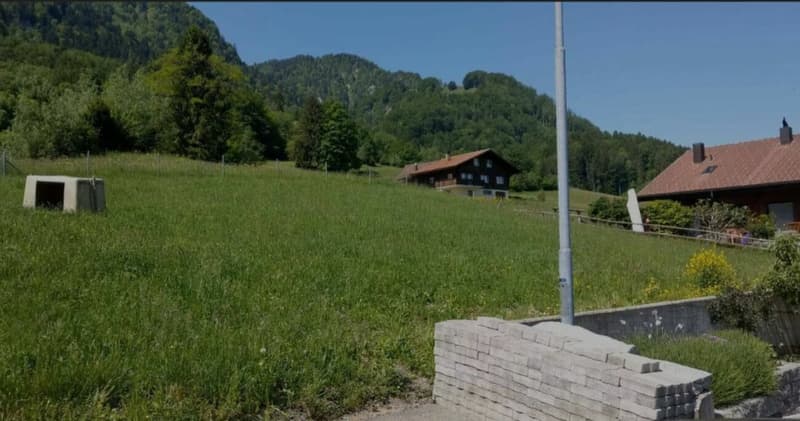 Rufihoschet, 8865 Bilten