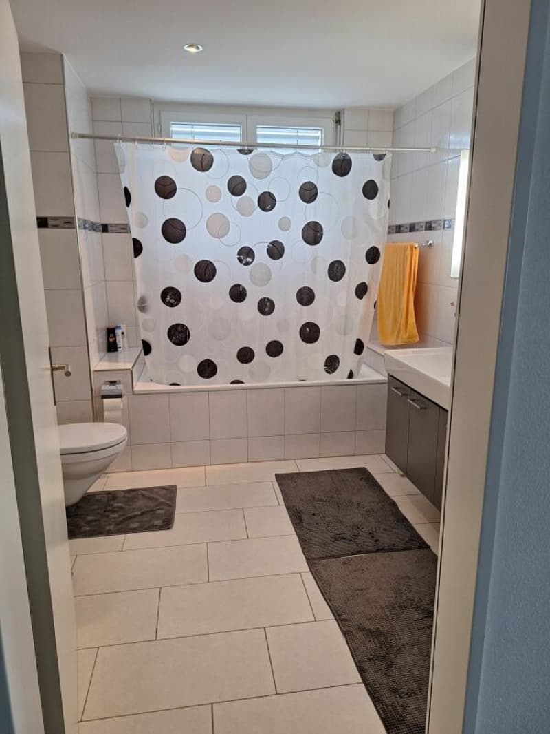 Appartement 4,5 pièces à Aarwangen (4)