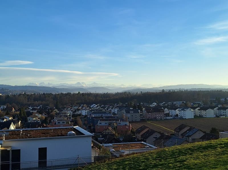 Appartement 4,5 pièces à Aarwangen (7)