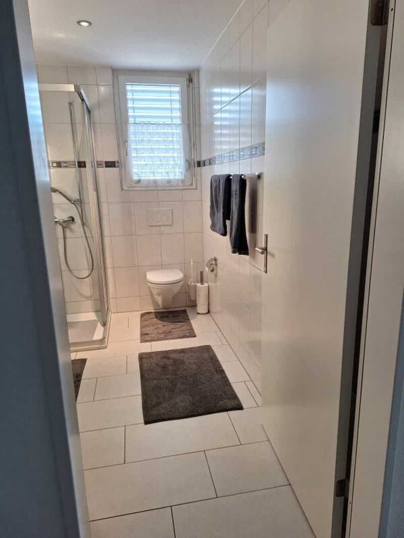 Appartement 4,5 pièces à Aarwangen (3)