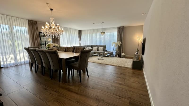 Exklusive 4.5-Zimmer-Attikawohnung, mit 74 m² Panorama-Dachterrasse (3)