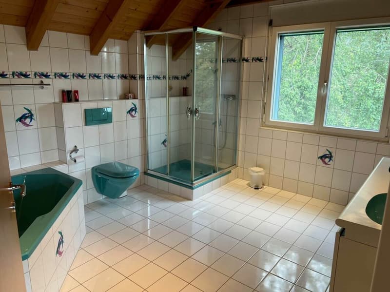 Ausgefallenes 6,5 Zimmer Einfamilienhaus in Traumlage (13)