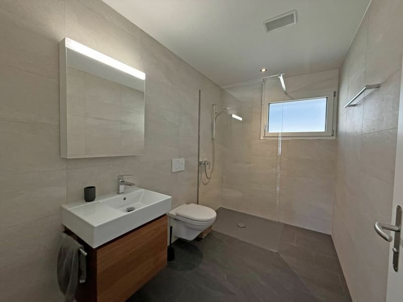 Wohnen über den Dächern von Liestal - exklusive 5.5- Zimmer- Terrassenwohnung (14)