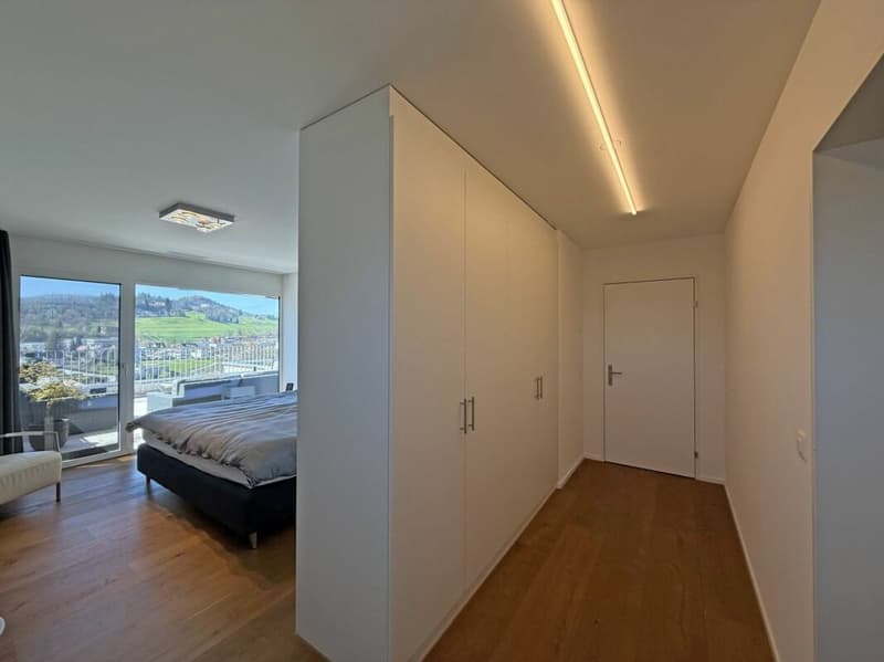 Wohnen über den Dächern von Liestal - exklusive 5.5- Zimmer- Terrassenwohnung (9)