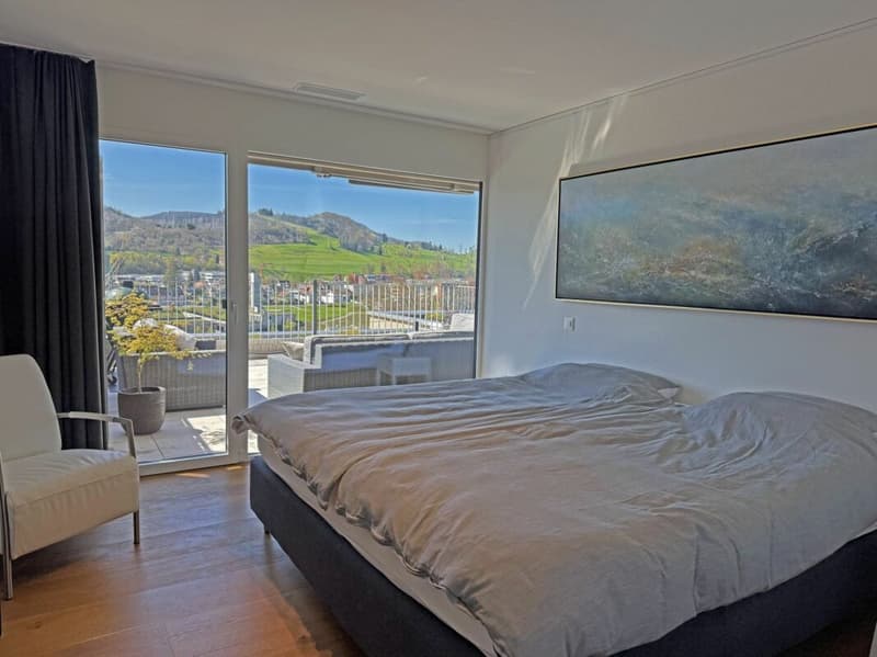 Wohnen über den Dächern von Liestal - exklusive 5.5- Zimmer- Terrassenwohnung (6)