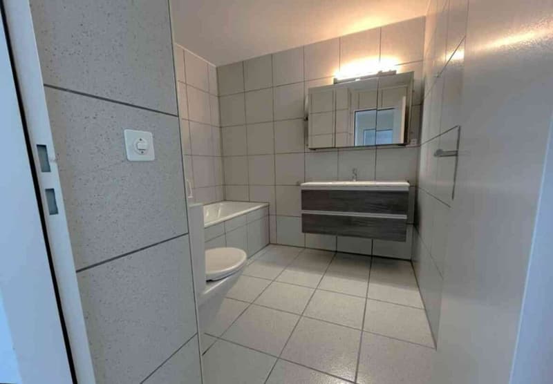 Schöne und moderne 3 Zimmer Wohnung in Sissach mit eigenem Garten, Cheminee, 2WC, Badewanne, separater Dusche und vielem mehr... (5)
