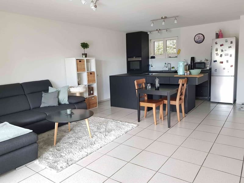 Schöne und moderne 3 Zimmer Wohnung in Sissach mit eigenem Garten, Cheminee, 2WC, Badewanne, separater Dusche und vielem mehr... (3)