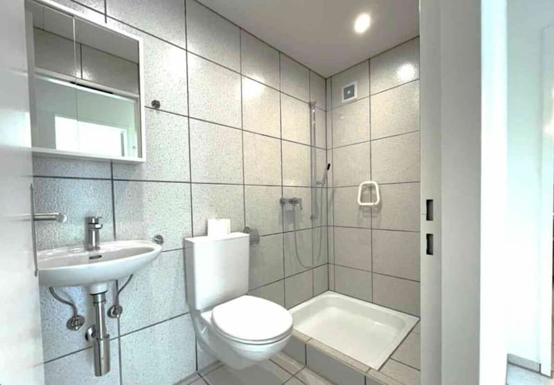 Schöne und moderne 3 Zimmer Wohnung in Sissach mit eigenem Garten, Cheminee, 2WC, Badewanne, separater Dusche und vielem mehr... (6)