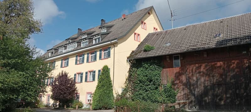 Traumwohnung an Schweizer Grenze zu verkaufen (15)