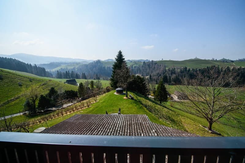 Helle Maisonettewohnung mit traumhafter Aussicht (8)