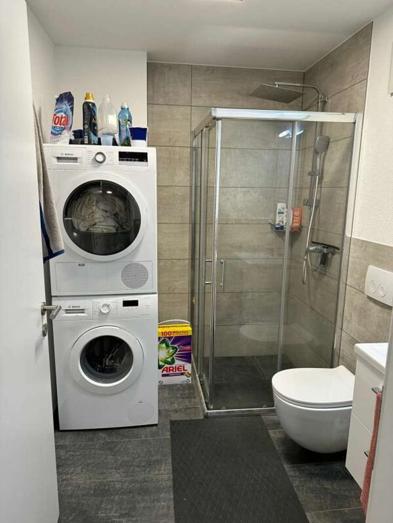 Moderne und sonnige 4.5 Zimmer Wohnung (5)