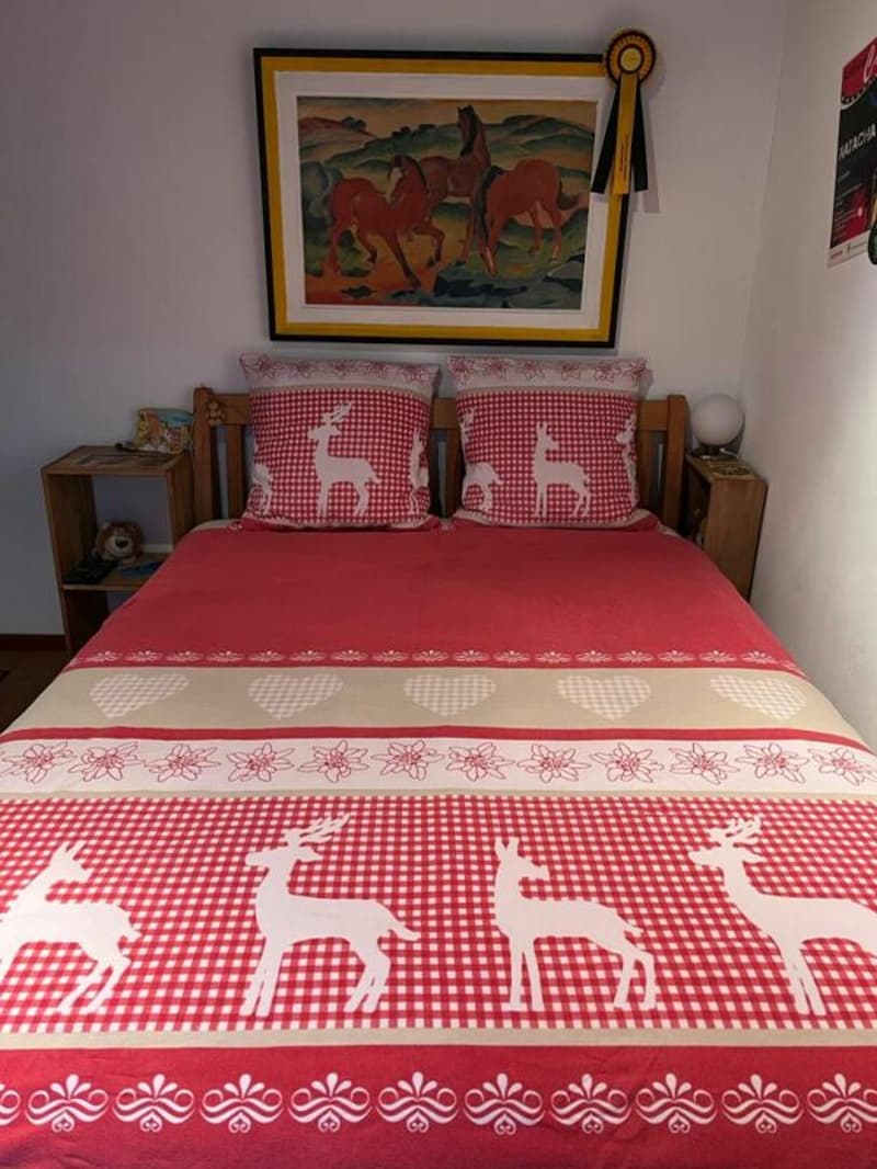 Chalet JADE (4)