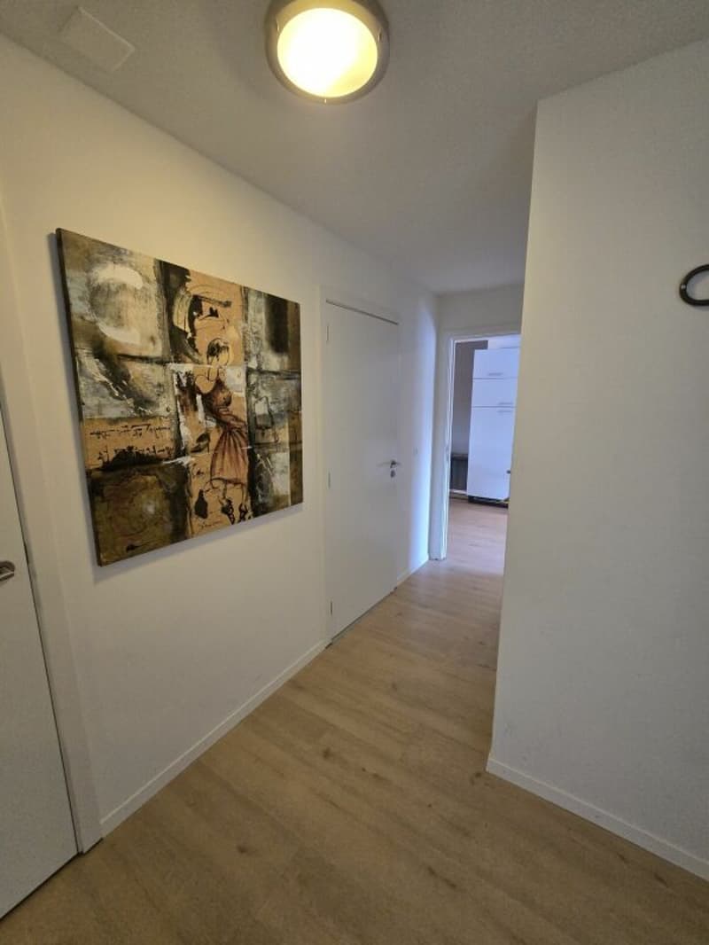 Einzigartiges Apartment direkt am Walensee (2)