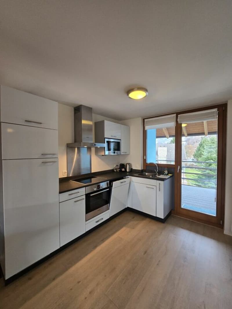 Einzigartiges Apartment direkt am Walensee (4)