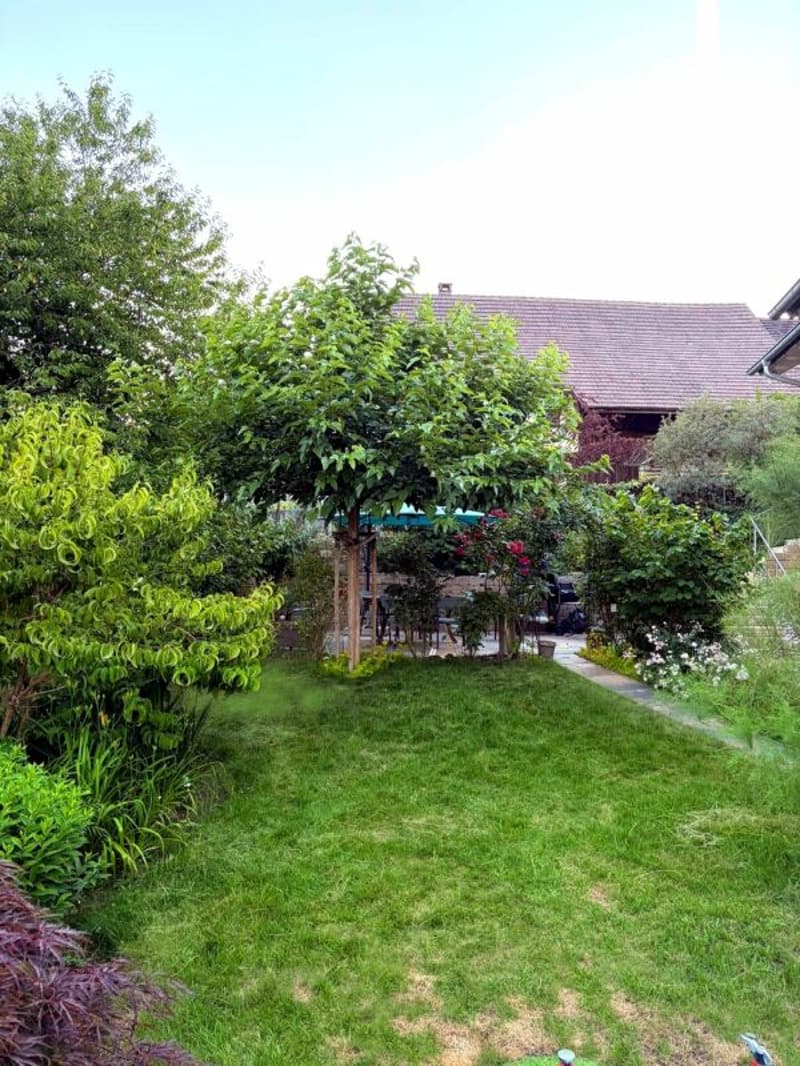 Exklusive Neubau-Villa mit Designerküche - 35 Min. ab Zürich (5)