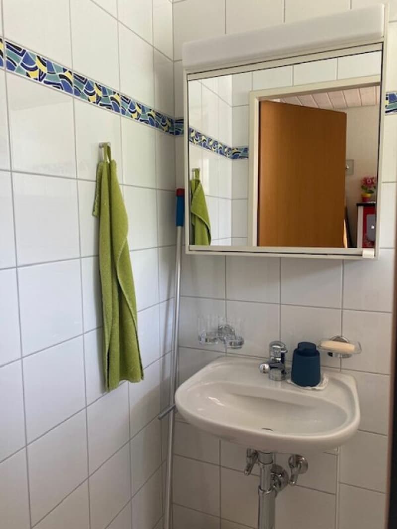 Ein ideales Familienidyll an Top-Lage in Reinach BL, 6.5-Zimmer-Eck EFH (12)