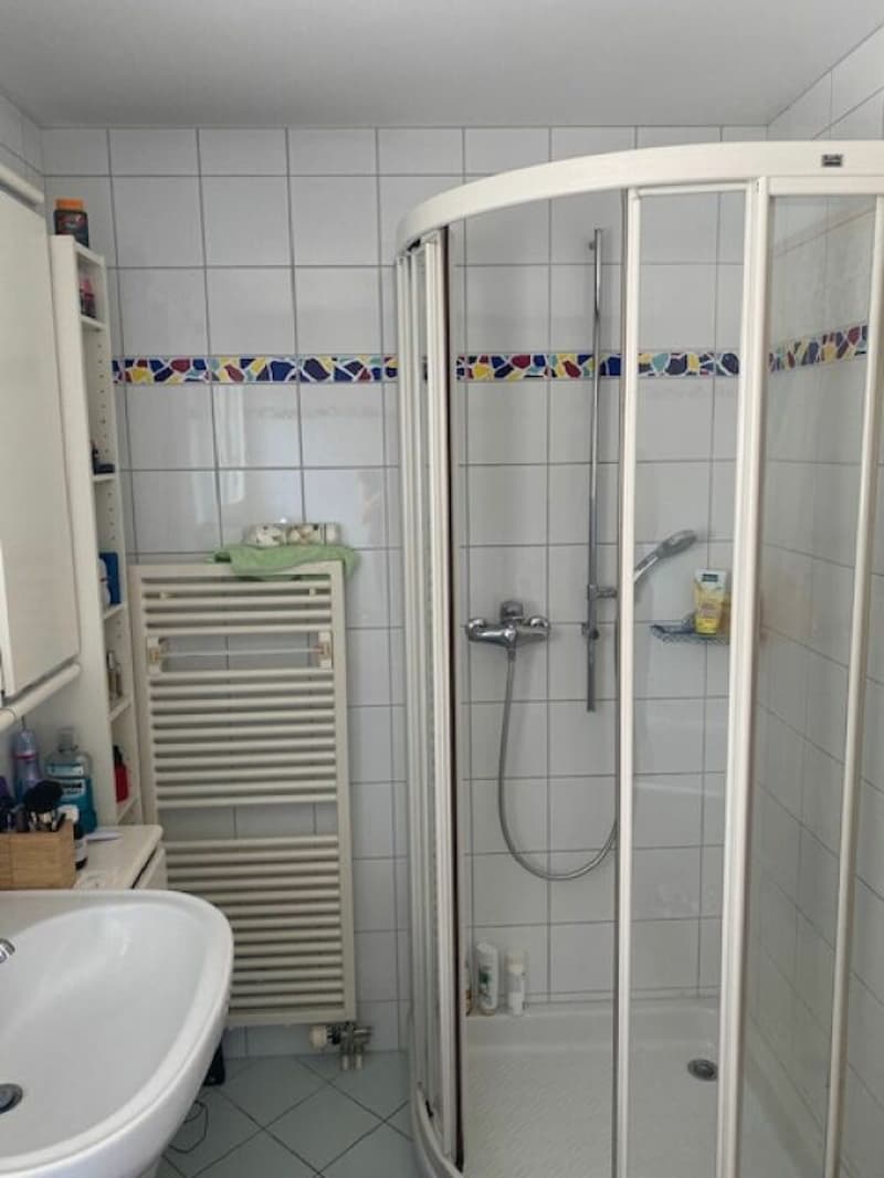 Ein ideales Familienidyll an Top-Lage in Reinach BL, 6.5-Zimmer-Eck EFH (6)