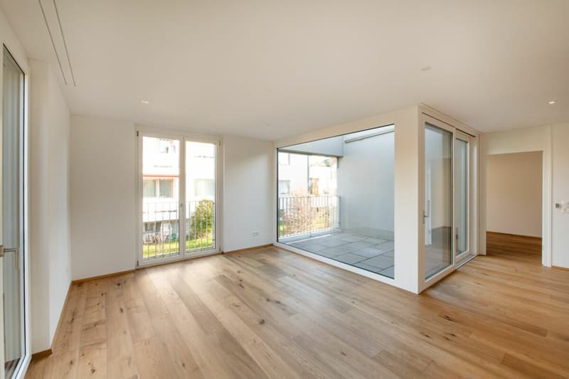 4.5 Zimmer Eigentumswohnung mit Dachterrasse am Mattenbach (1)