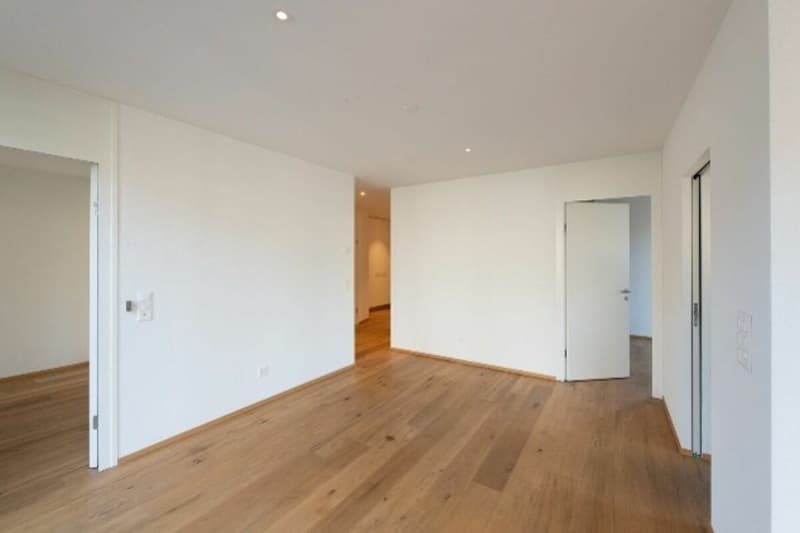 4.5 Zimmer Eigentumswohnung mit Dachterrasse am Mattenbach (7)