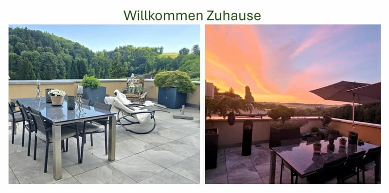 Panorama- Terrassenwohnung (15)