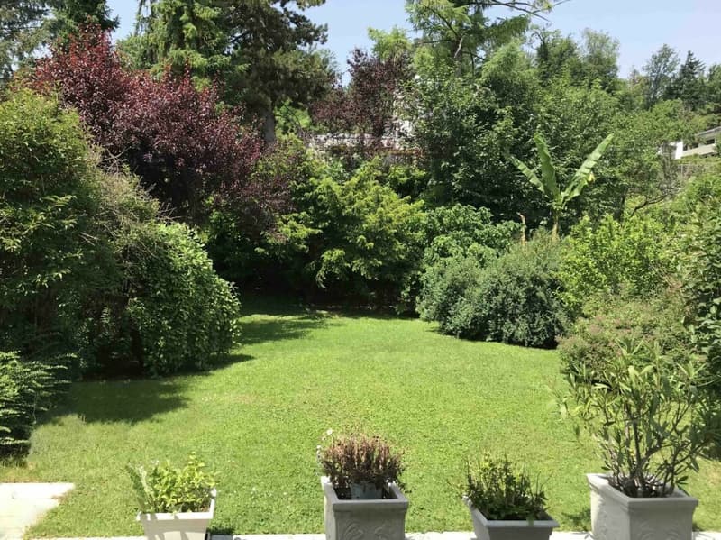 Charmantes Einfamilienhaus im Grünen an bester Lage ... Reinach/BL (3)