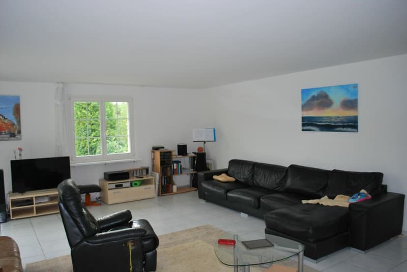 Exklusive 8-Zimmer Villa mit Pool (6)