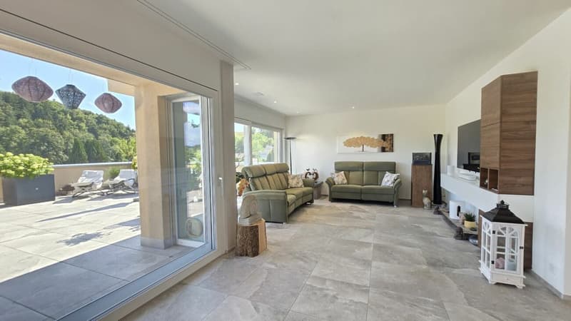 Panorama-Terrassenwohnung (4)
