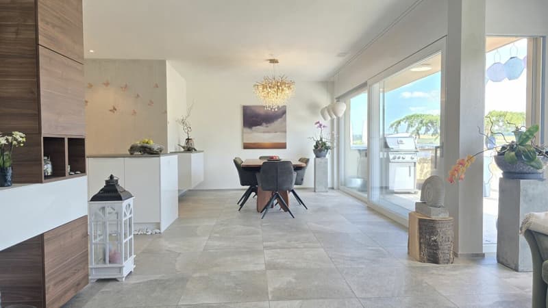 Panorama-Terrassenwohnung (5)