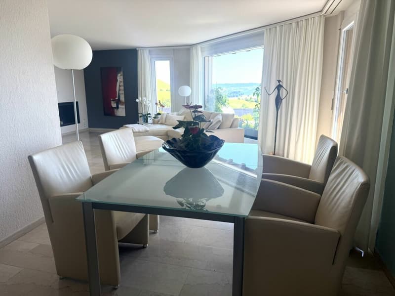 3,5 Zimmer Terrassenhaus in ruhiger, sonniger Lage mit unverbaubarer Weitsicht auf den Zürichsee und in die Alpen (4)