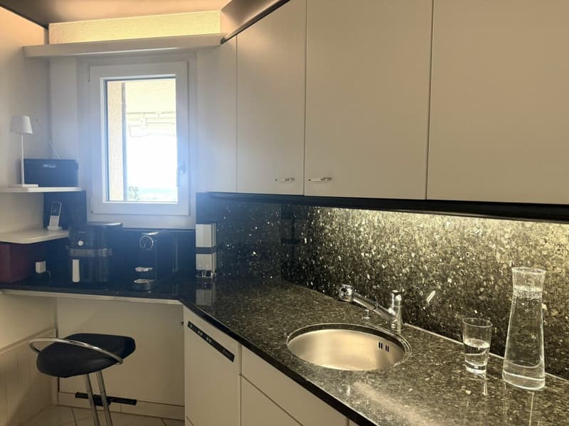 3,5 Zimmer Terrassenhaus in ruhiger, sonniger Lage mit unverbaubarer Weitsicht auf den Zürichsee und in die Alpen (6)