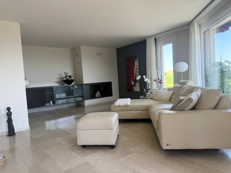 3,5 Zimmer Terrassenhaus in ruhiger, sonniger Lage mit unverbaubarer Weitsicht auf den Zürichsee und in die Alpen (1)