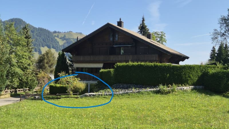 Über dem Nebel, mitten im Sonnenschein ? Renoviertes Bijou in Wirzweli mit Pisten-/Bergblick (1)