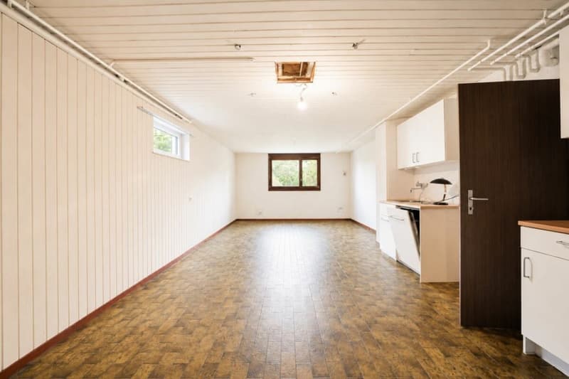 8-1/2-Zimmer Einfamilienhaus mit unverbaubarer SW-Aussicht - Nähe ÖV und Schulen in Dornach (12)