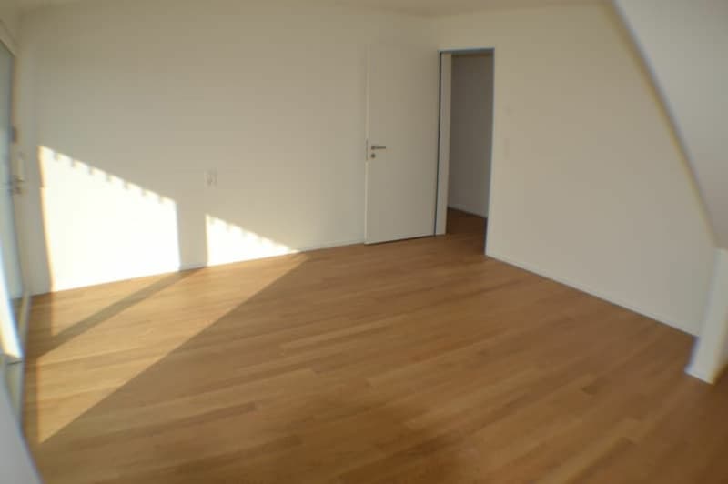 Vermietung Wohnung Duplex-/Maisonette-Wohnung 9320 Arbon (14)