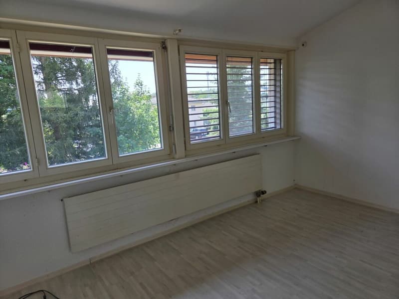 Freistehendes grosszügiges Einfamilienhaus (8)