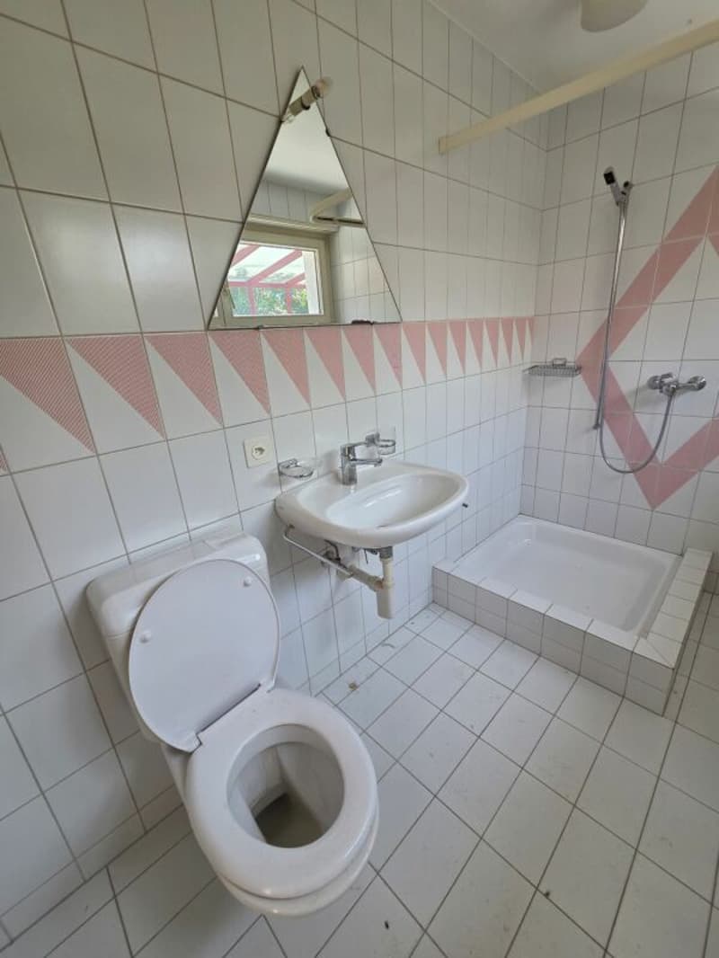 Freistehendes grosszügiges Einfamilienhaus (6)