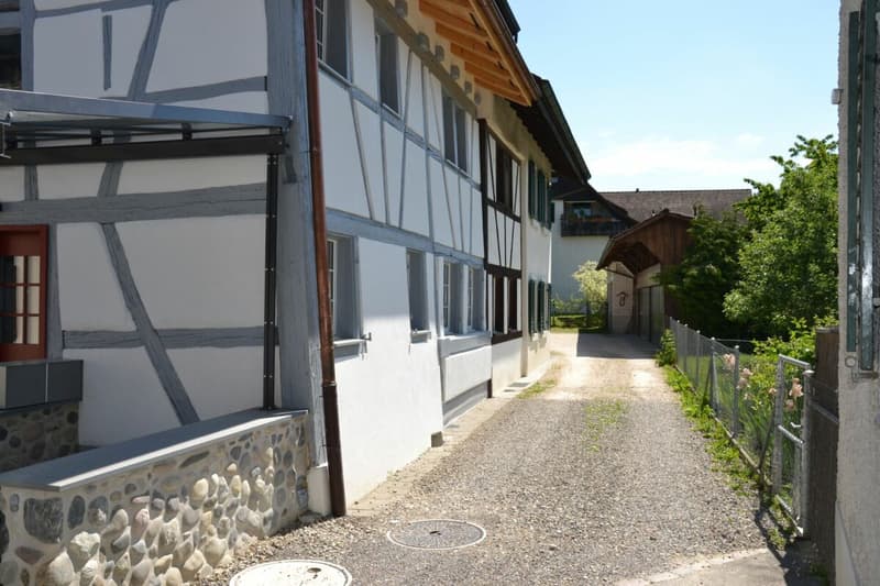 3-Generationen-Haus, 7-Zi.+2-Zi.+Garten. Edel, modern, chic restauriert, sehr hell, alles bio - oder: 7-Zi.-Wohnung und 2 Zi.-Büro/Au-pair-Wohnung (2)