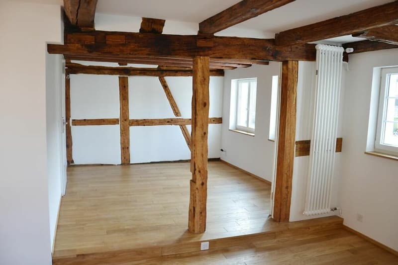 3-Generationen-Haus, 7-Zi.+2-Zi.+Garten. Edel, modern, chic restauriert, sehr hell, alles bio - oder: 7-Zi.-Wohnung und 2 Zi.-Büro/Au-pair-Wohnung (13)
