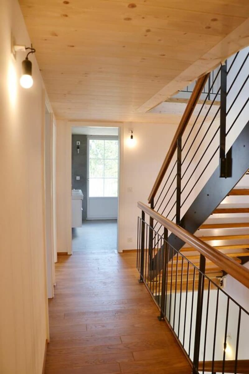 3-Generationen-Haus, 7-Zi.+2-Zi.+Garten. Edel, modern, chic restauriert, sehr hell, alles bio - oder: 7-Zi.-Wohnung und 2 Zi.-Büro/Au-pair-Wohnung (8)