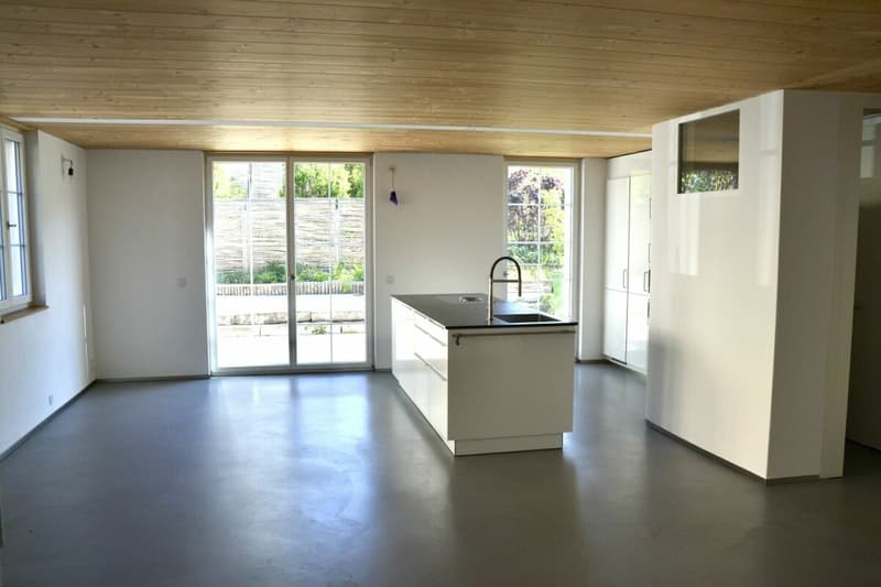 3-Generationen-Haus, 7-Zi.+2-Zi.+Garten. Edel, modern, chic restauriert, sehr hell, alles bio - oder: 7-Zi.-Wohnung und 2 Zi.-Büro/Au-pair-Wohnung (5)