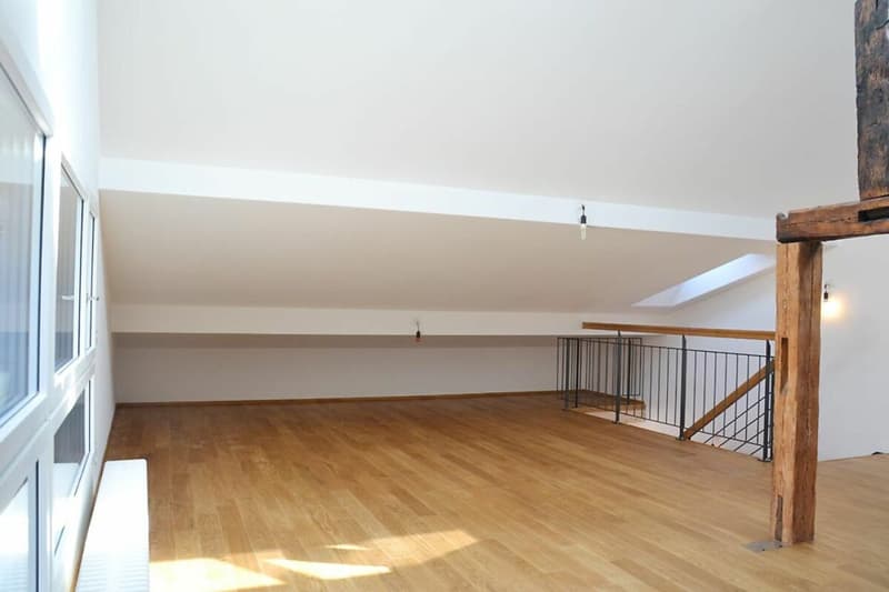 3-Generationen-Haus, 7-Zi.+2-Zi.+Garten. Edel, modern, chic restauriert, sehr hell, alles bio - oder: 7-Zi.-Wohnung und 2 Zi.-Büro/Au-pair-Wohnung (12)